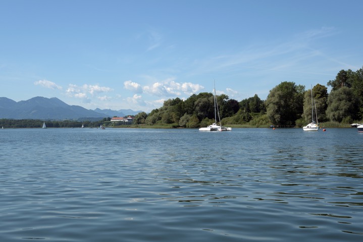See_5