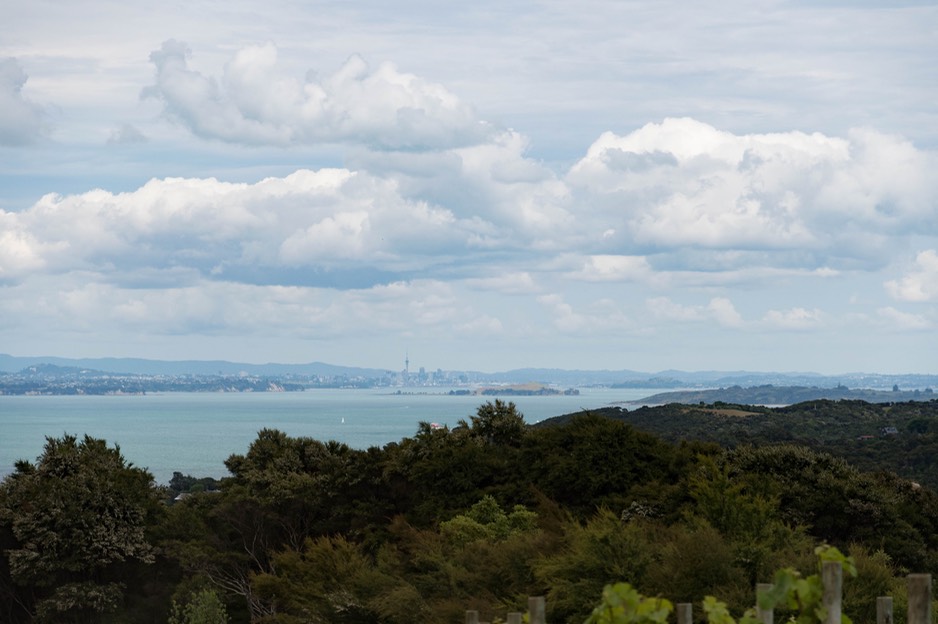 Waiheke 3 (1 von 1).jpg